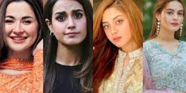 25+ Best Pakistani Dramas – 2024