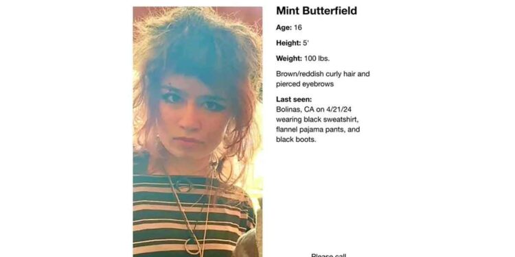 Search for Mint Butterfield: Child of Slack Co-Founder Stewart Butterfield Reported Missing