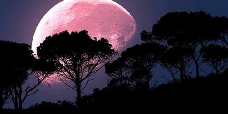 When will Pink Moon grace night skies worldwide?