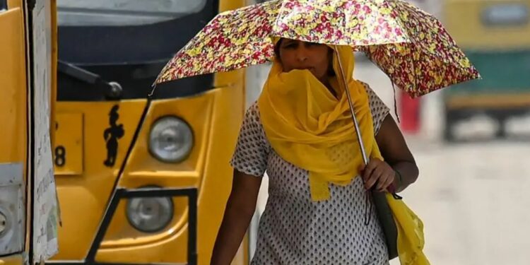 Heatwave in Punjab