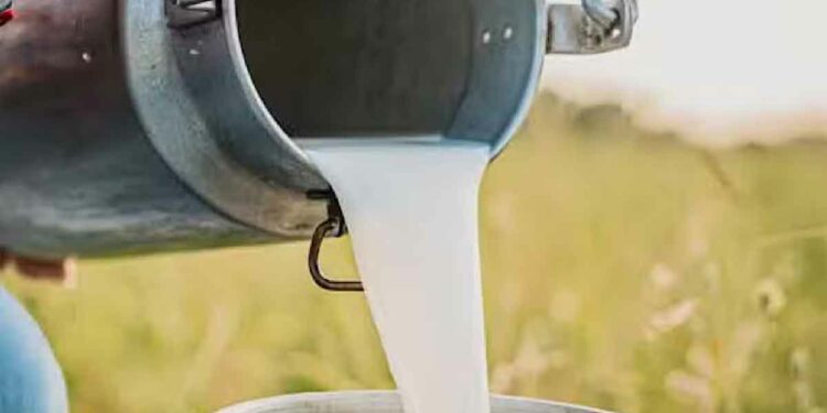 “Expect Major Increase in Milk Prices” Warns Karachi’s Dairy Farmers Association