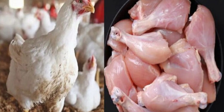 Chicken Prices Rise Again in Karachi